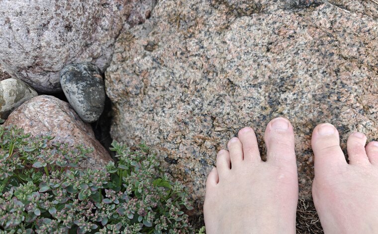 NordicBareToes cover image