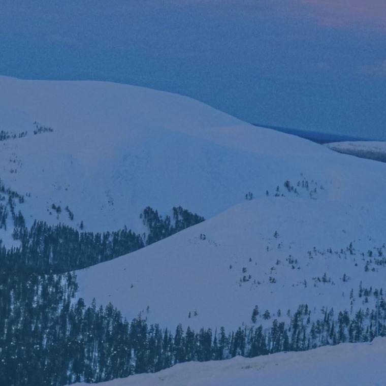 nordicmist cover image