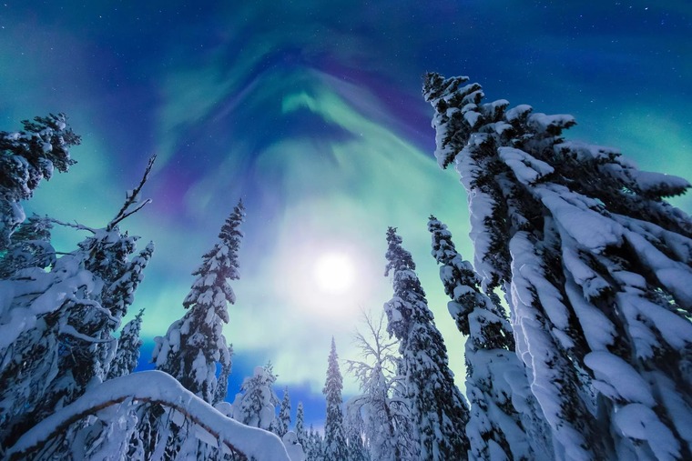 NordicNights banner image
