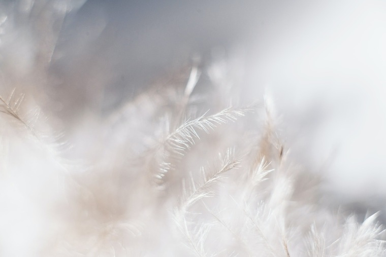 NordicNymph00 banner image