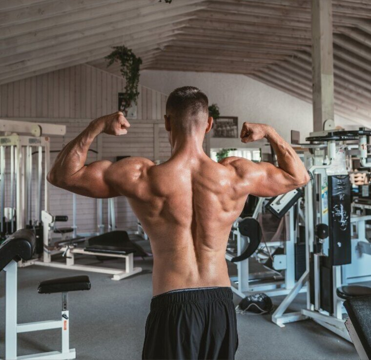 Nordicphysique banner image