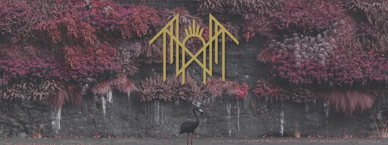 Goddess Norf cover image