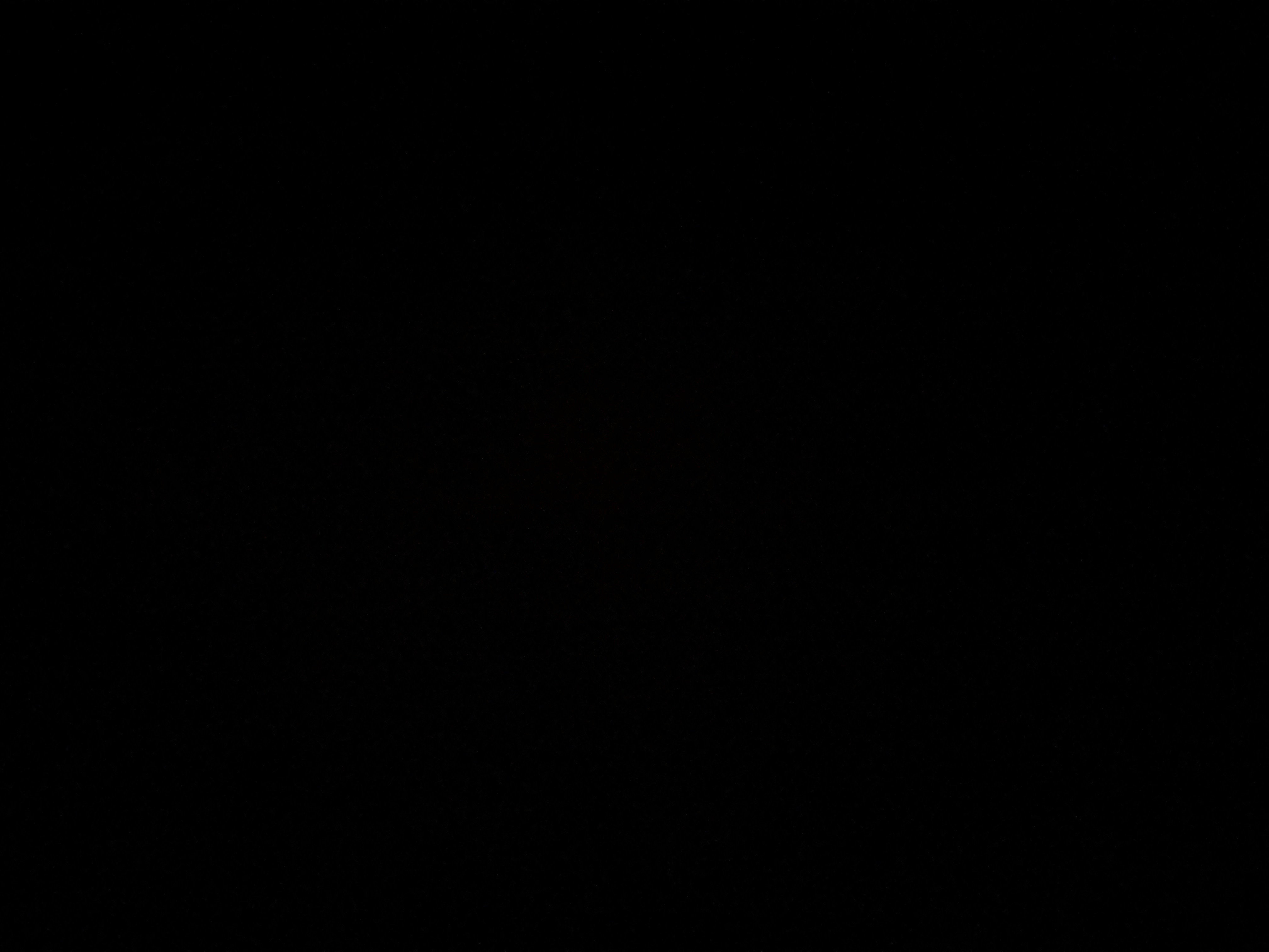 Northern banner image