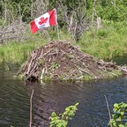 Northern _Fisherman avatar