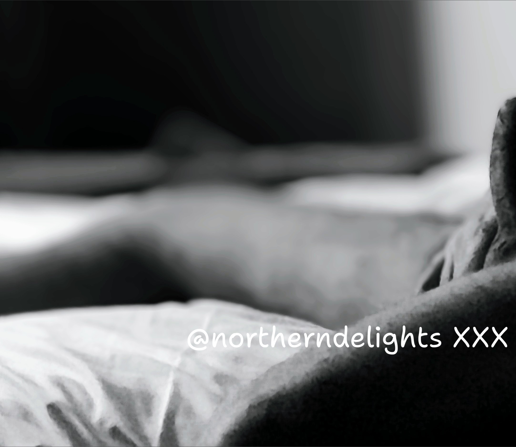 Northern Delight banner image