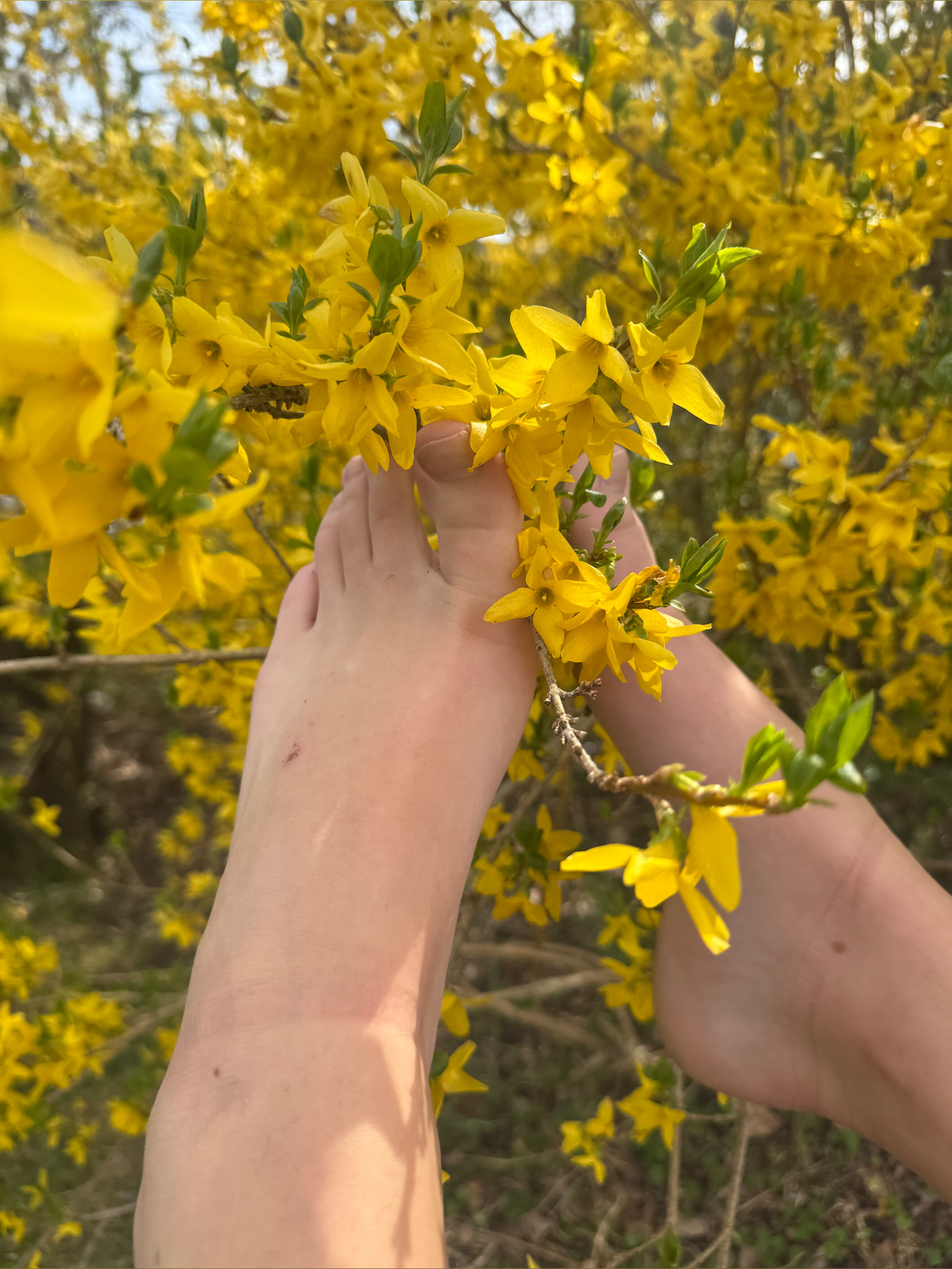 Feetbaddie banner image