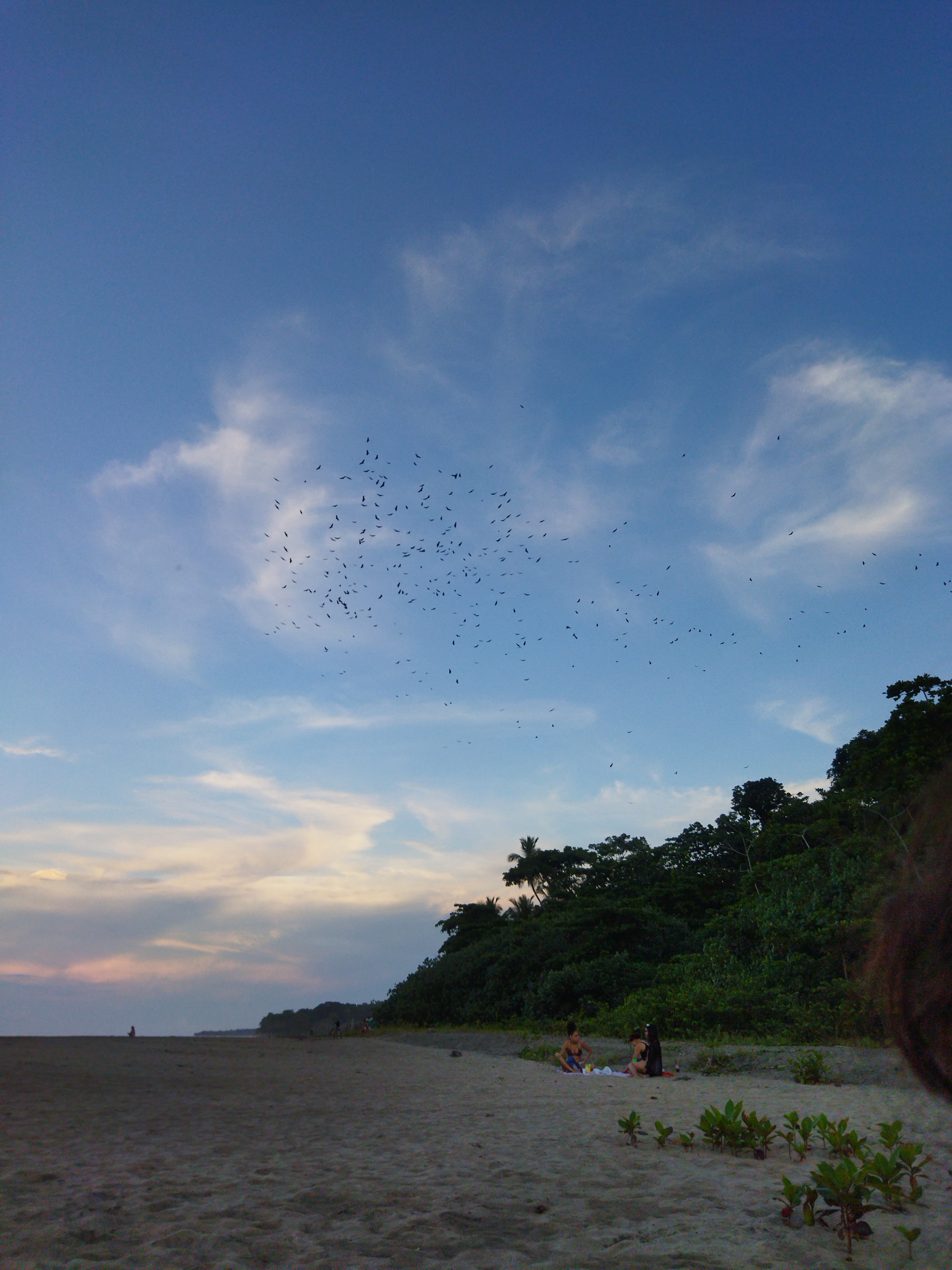 Sin Senos No Hay Paraíso banner image