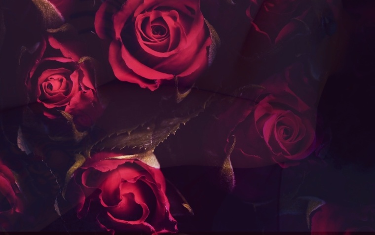 NostalgicMocha cover image