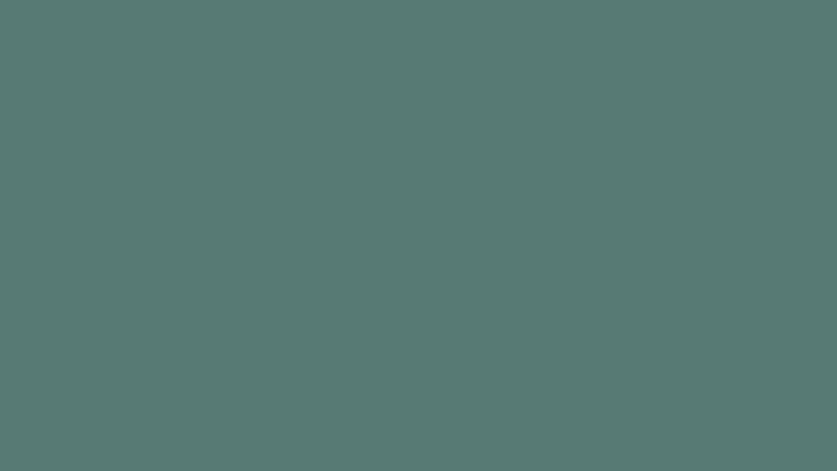 Dumb Bunny banner image