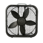 Just Fans avatar