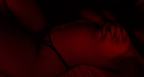 Bailee cover image