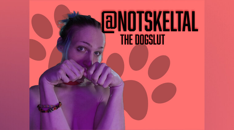 ⚧️ skeltal the dog girl 🐾 cover image