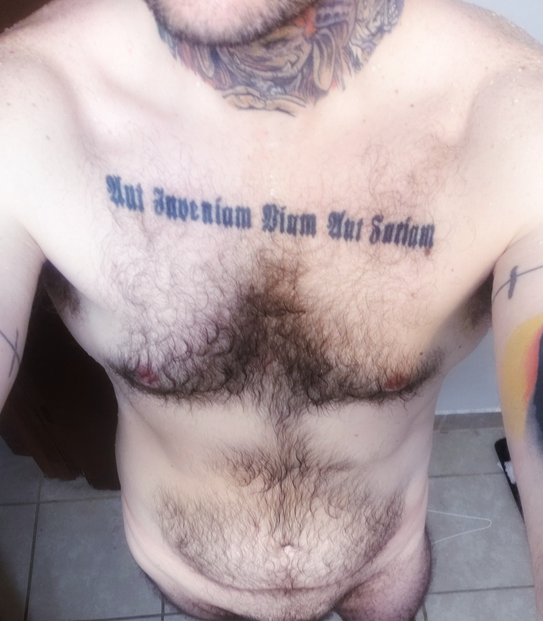 Notthedevilhimselffree banner image