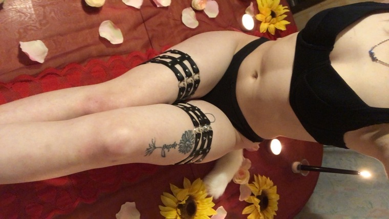 Daisy cover image