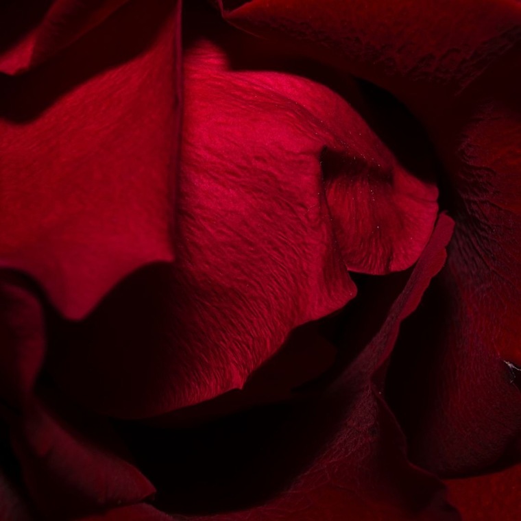 Zaddy banner image