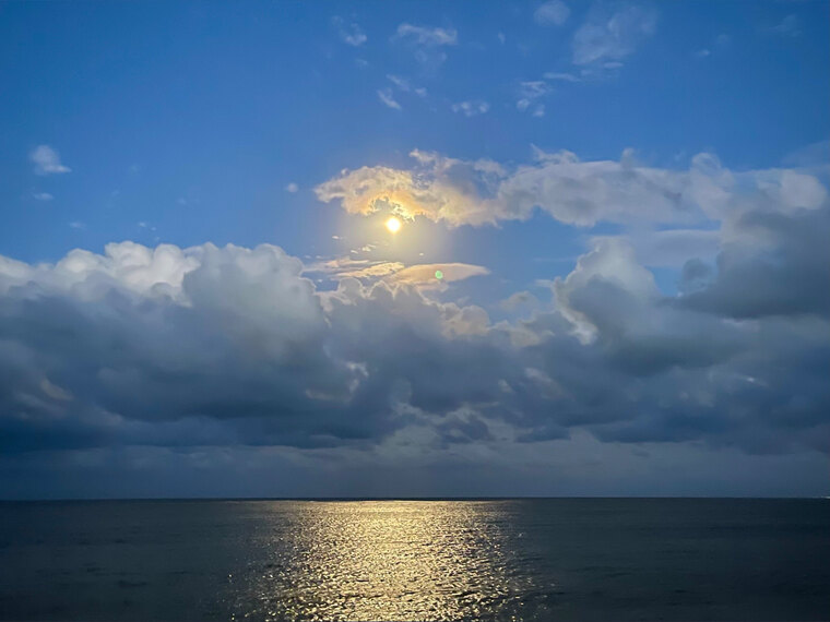 Pedro M. cover image