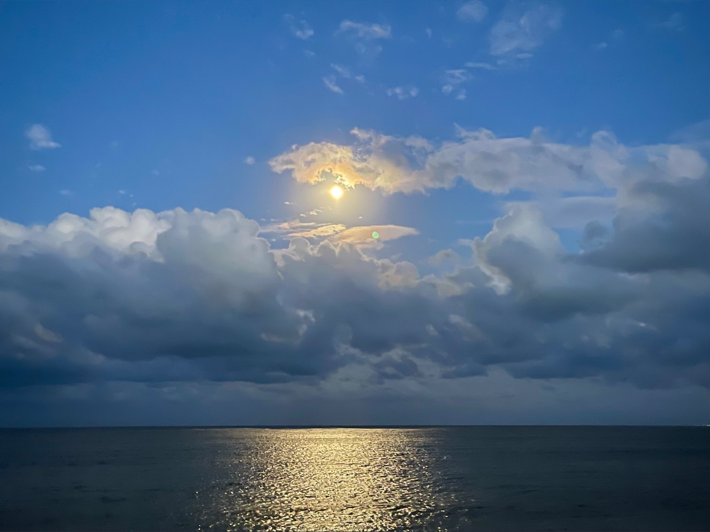 Pedro M. banner image