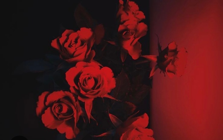 Notyourgirl banner image