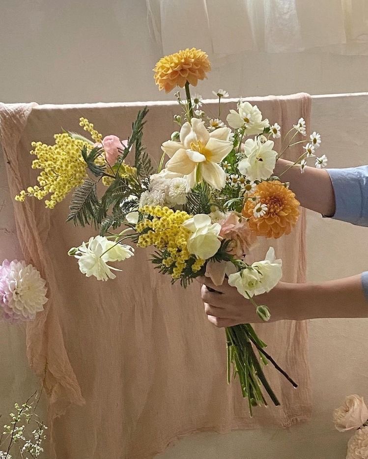 YukkyDoll banner image