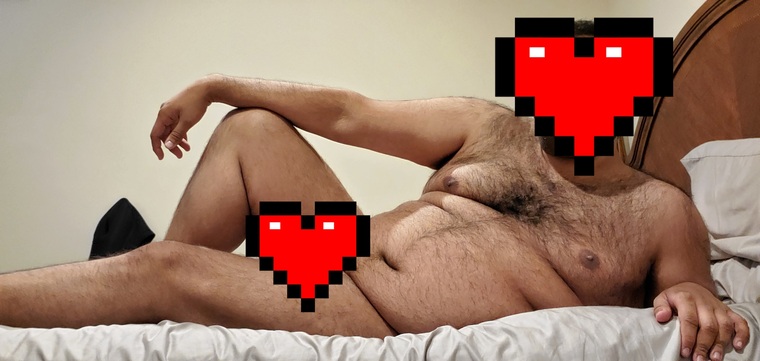NOVAdesi banner image
