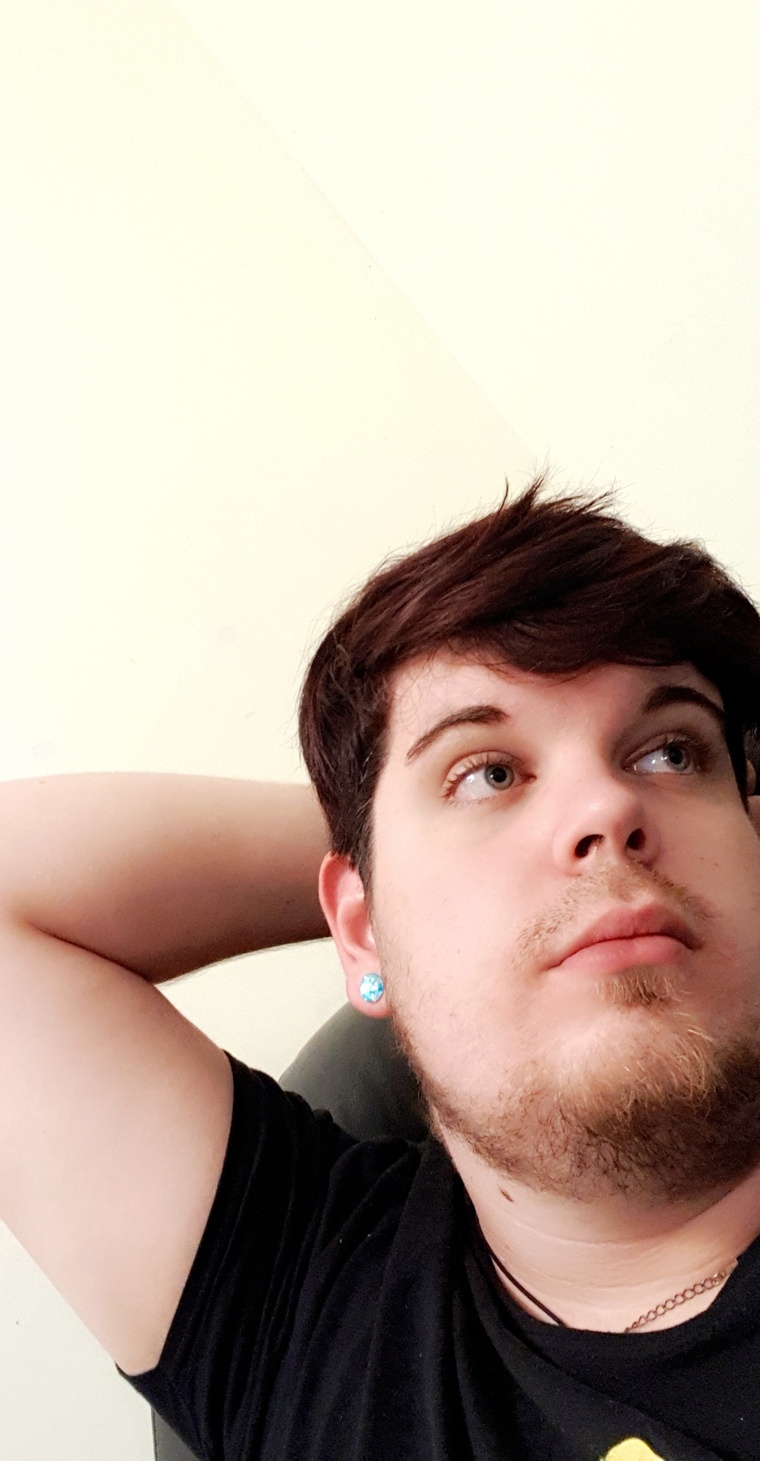 Novah banner image