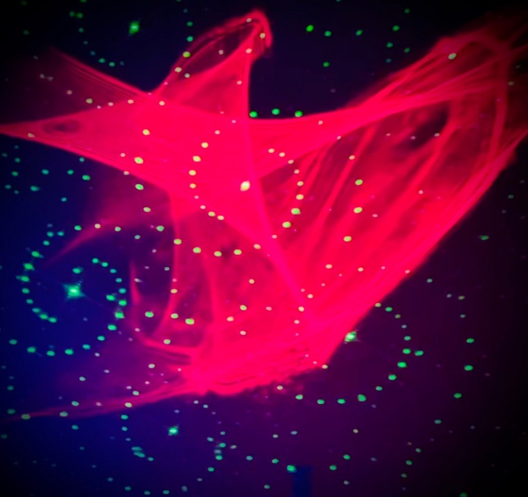 NP Trance Dance cover image