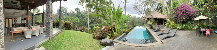 dom cover image