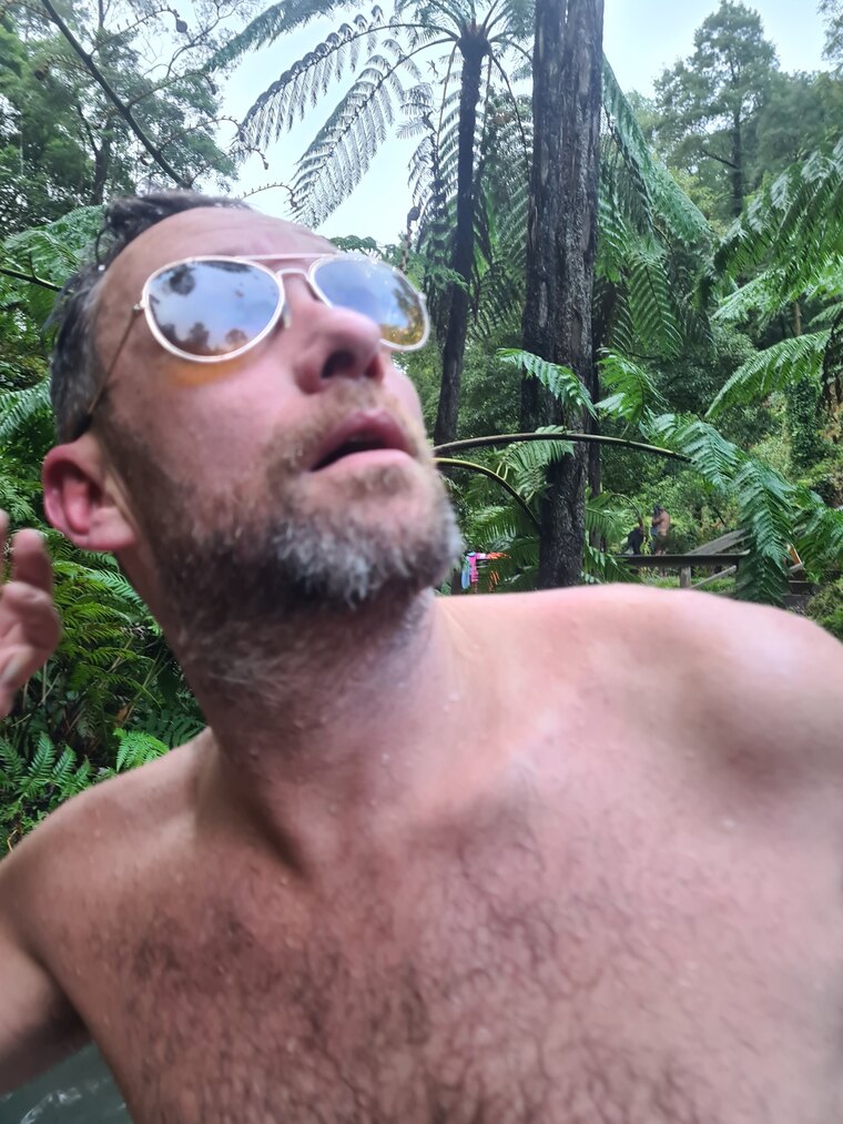Pardal Nuno banner image