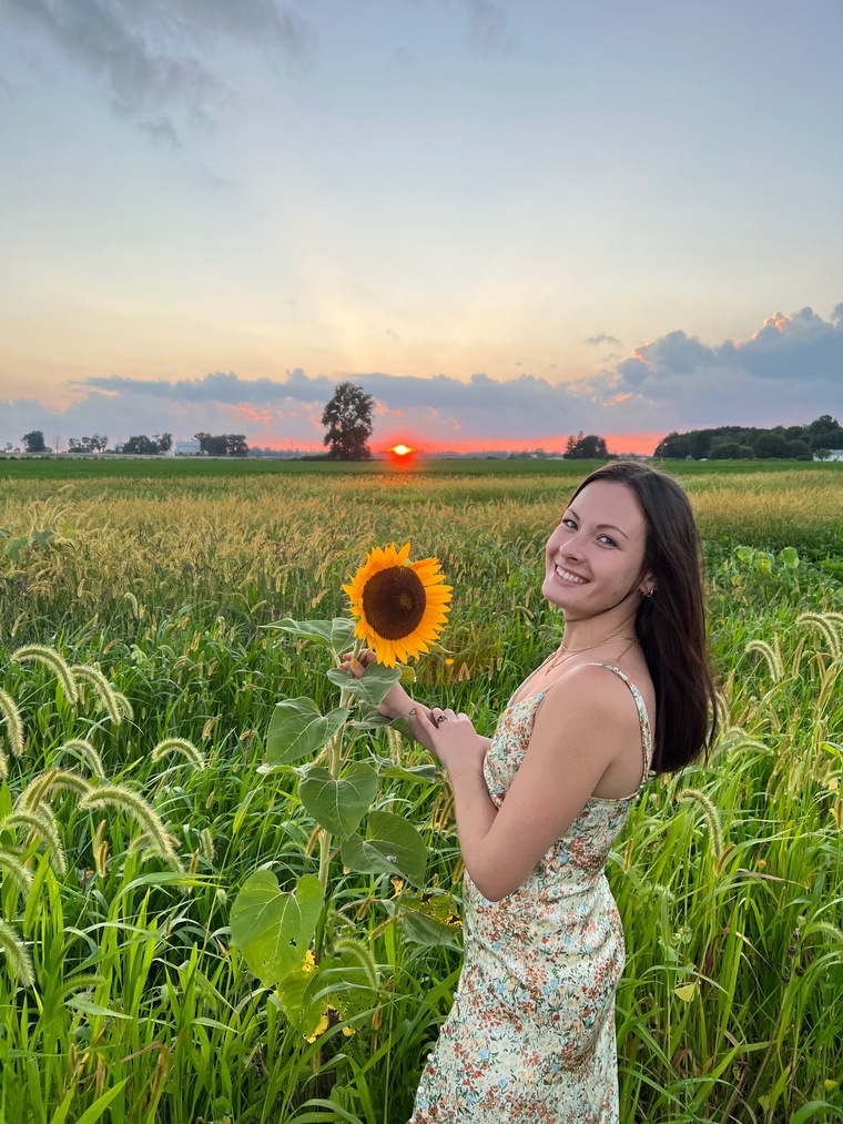 lisey banner image
