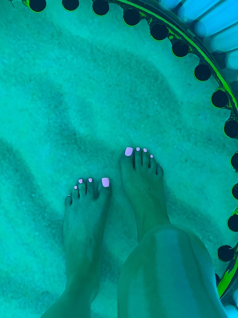 NutNelly cover image