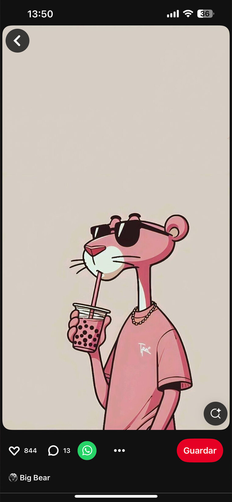 Nutria Stgo 🦦 cover image