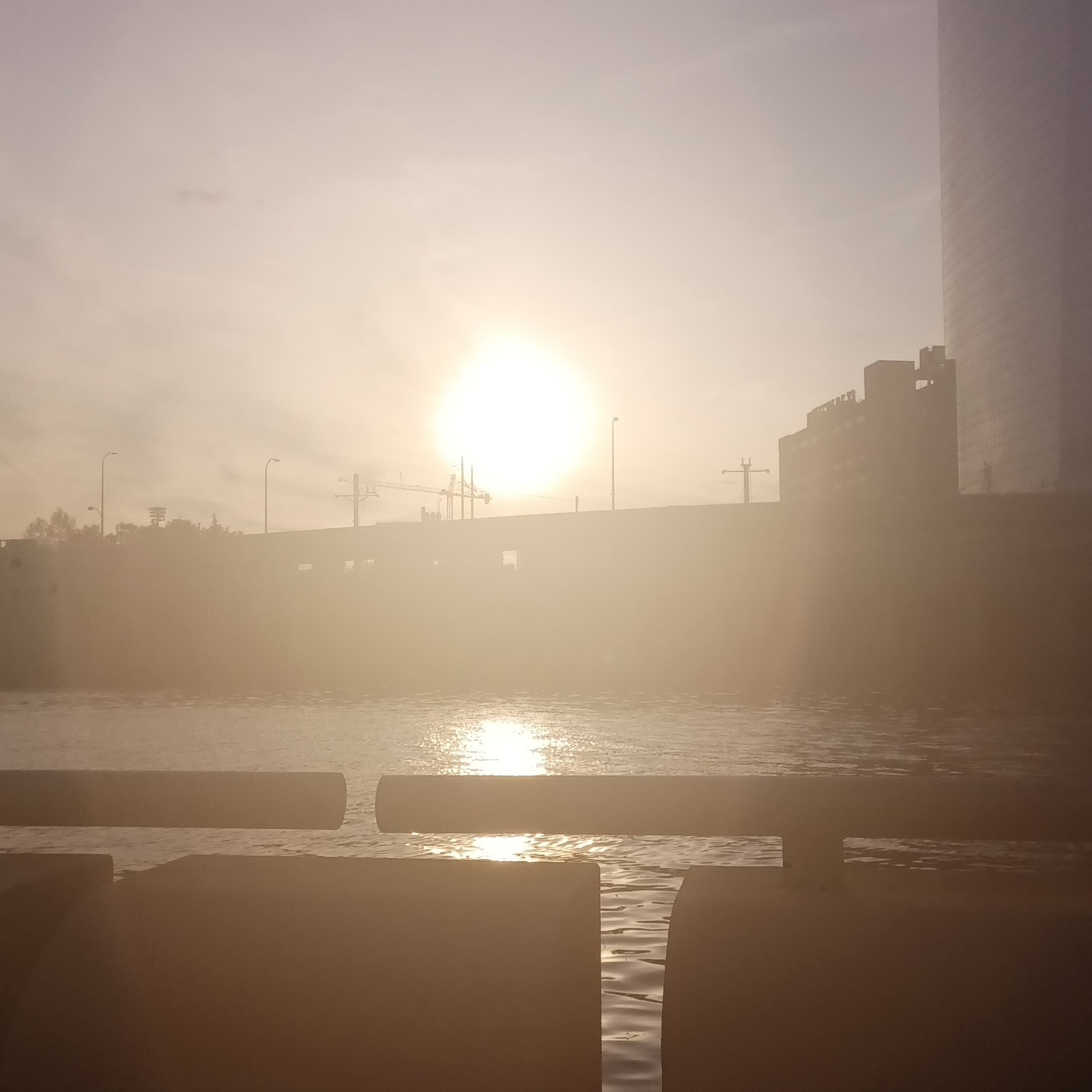 Nutt banner image