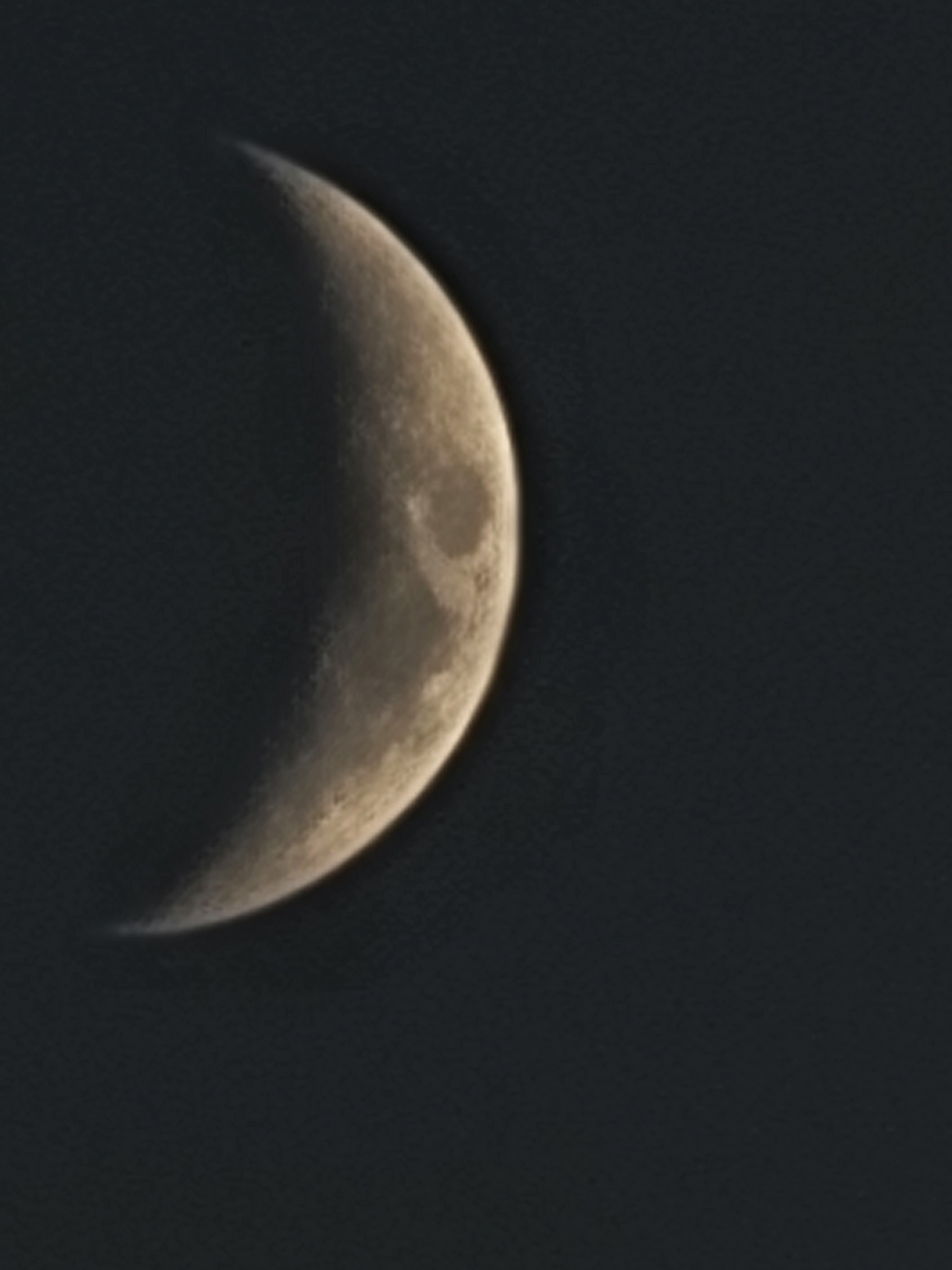 NvCouple4Fun banner image