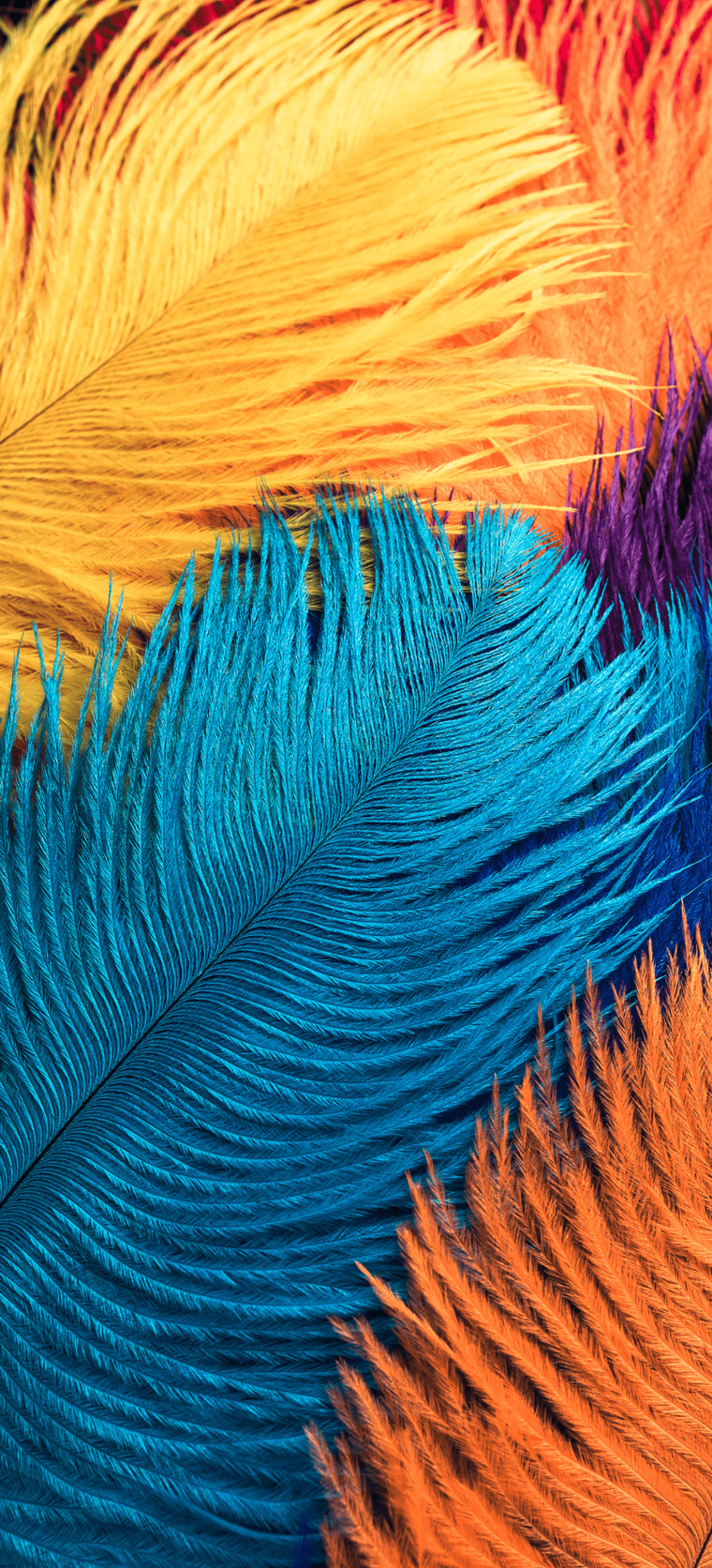 NvNati banner image