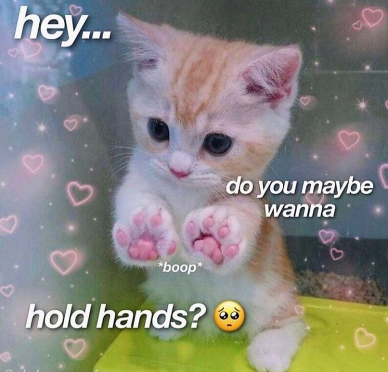 esmé cutie ♡ banner image