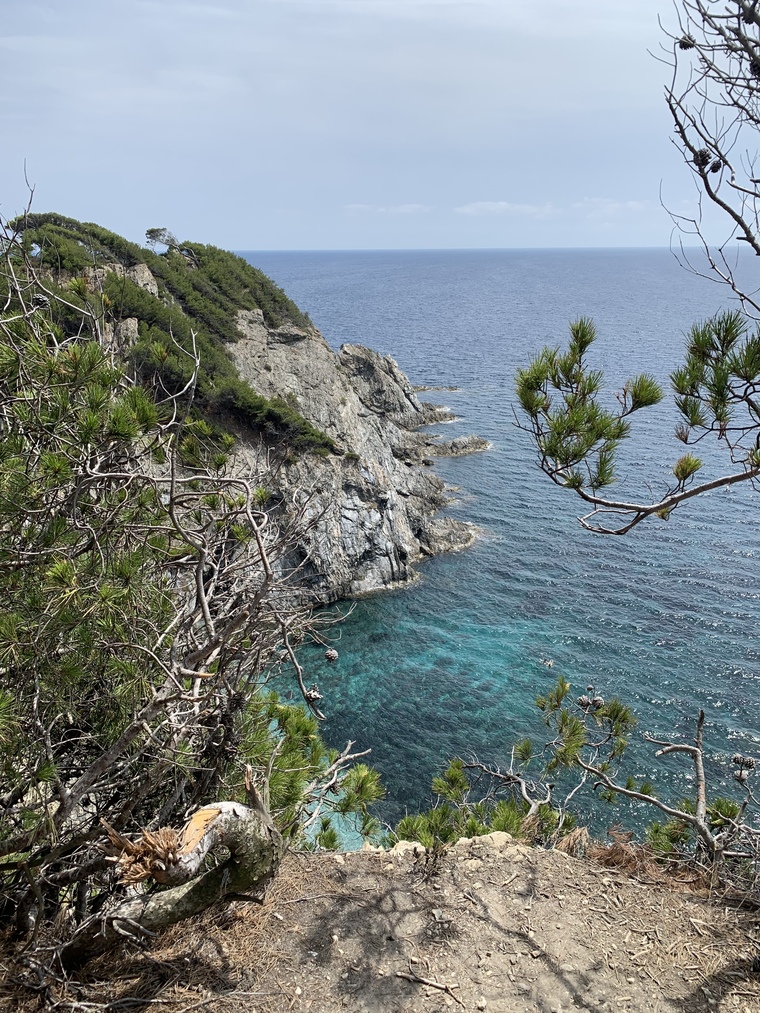 @nyc_ricardo cover image