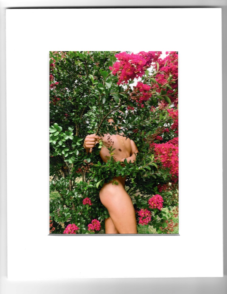 Tadzio10011 cover image