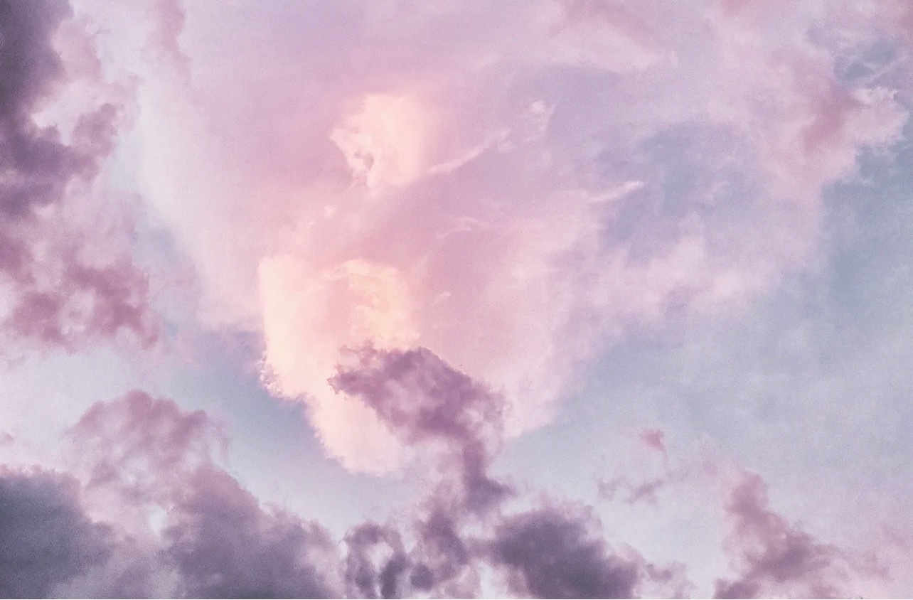 Nyleve banner image