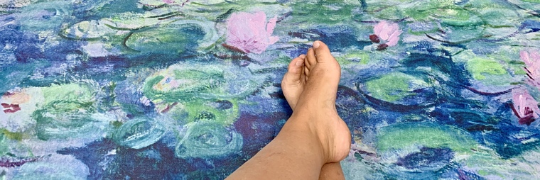 NymphaeaX cover image