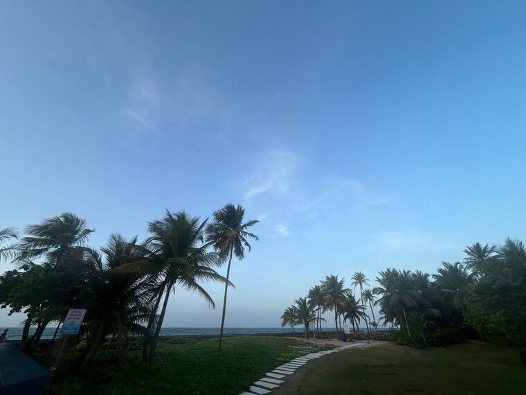 Mia cover image