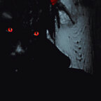 Nymphomancer avatar