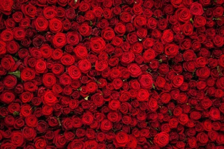 Jezebel banner image