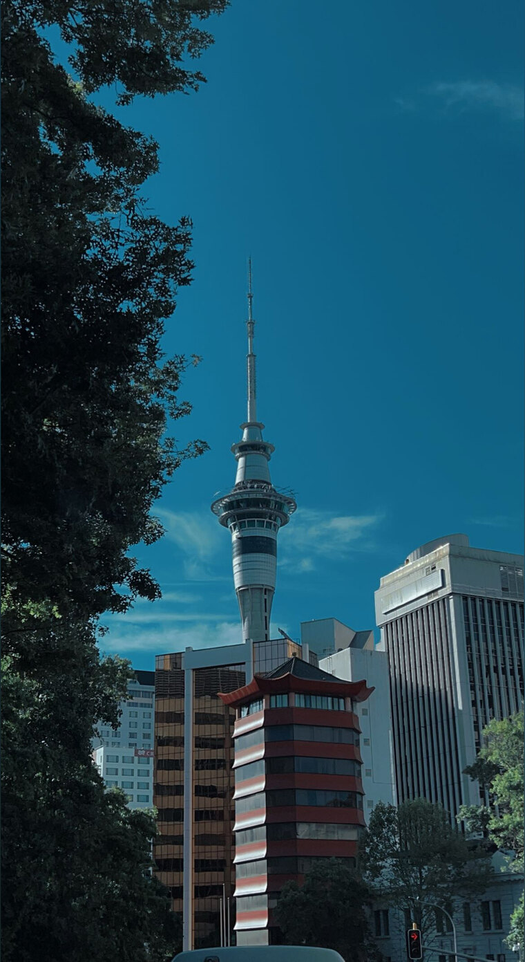 NZDom cover image