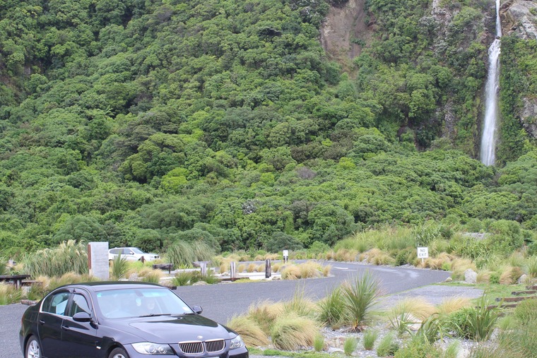 NZKiwiGuy cover image