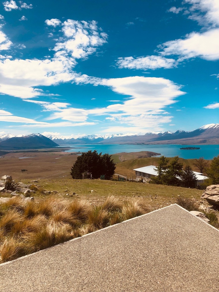 Nzlassxx cover image