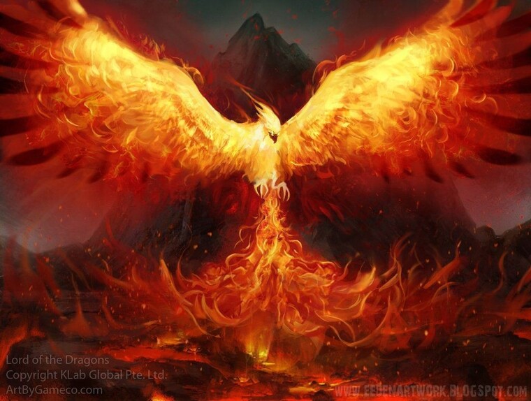 Christy Phoenix cover image