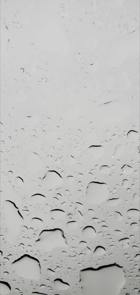 ObliviousOblivion cover image
