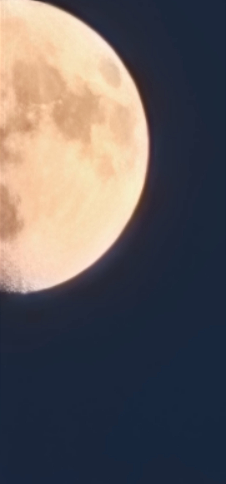 Raine cover image