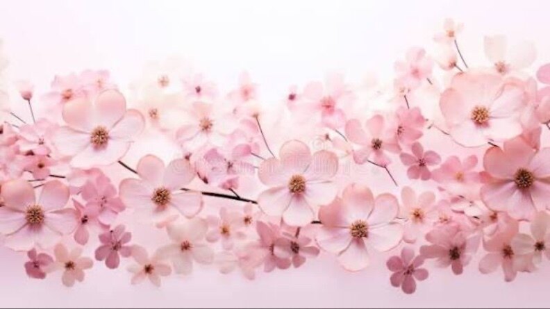 Mandi 🌸✨ banner image