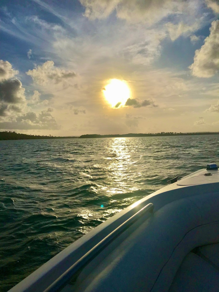 Ocean4life banner image